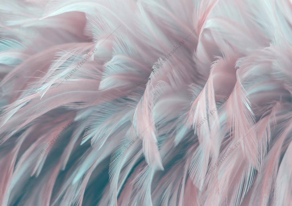 Фотообои Объемные 3д перья