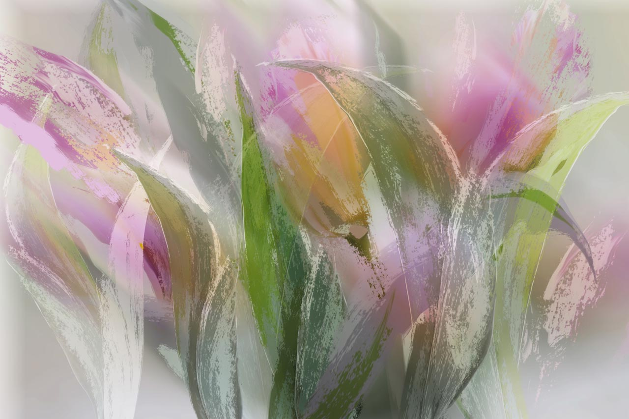 Фотообои Яркие тюльпаны арт